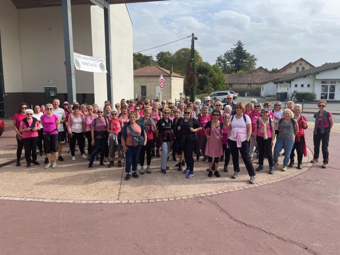 Marche Rose du 15 octobre 2024